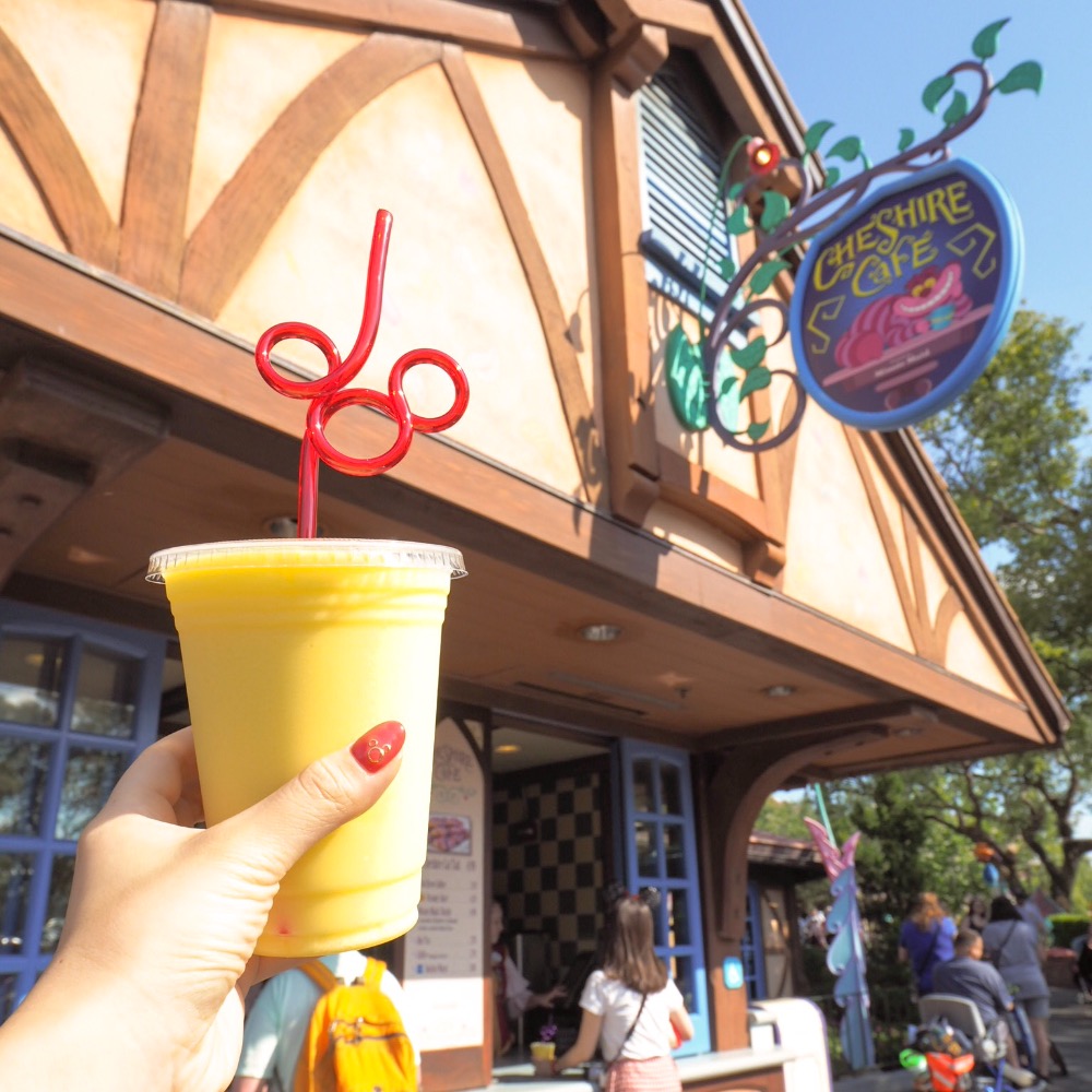 ウォルトディズニーワールド In フロリダ 可愛い が詰まった夢と魔法の5泊7日