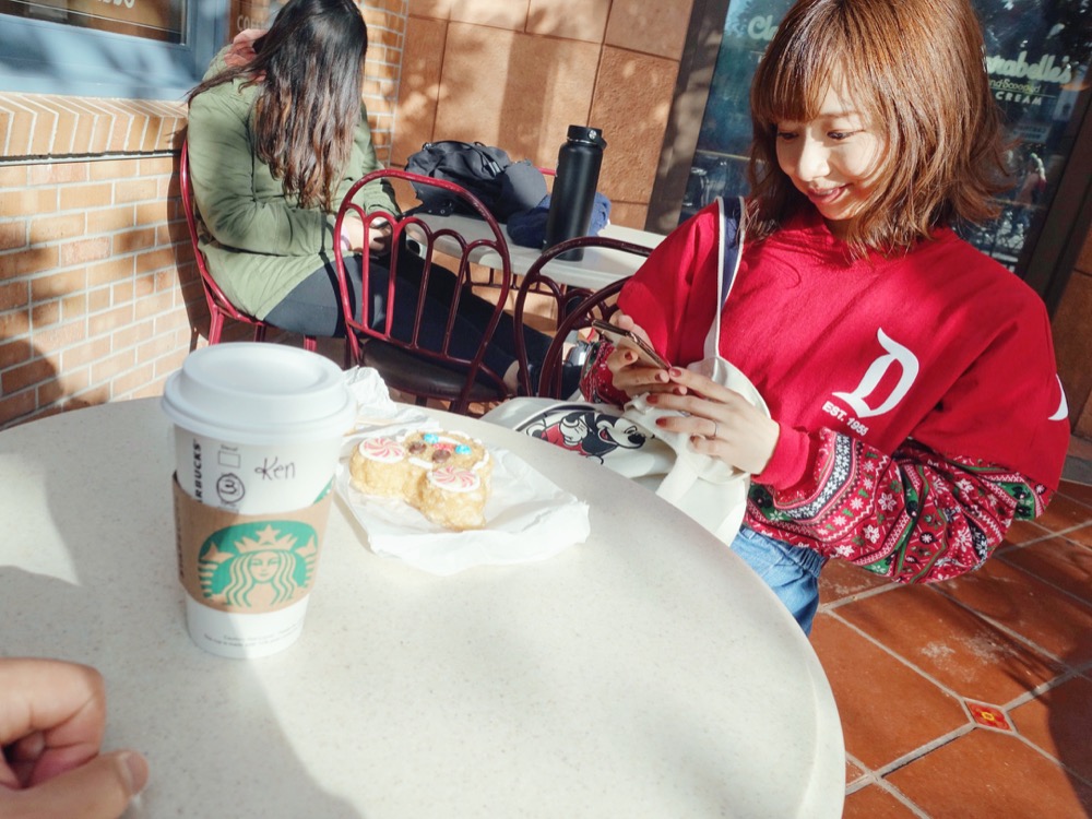 カリフォルニア ディズニーランド リゾートを遊び尽くす夢のような4日間