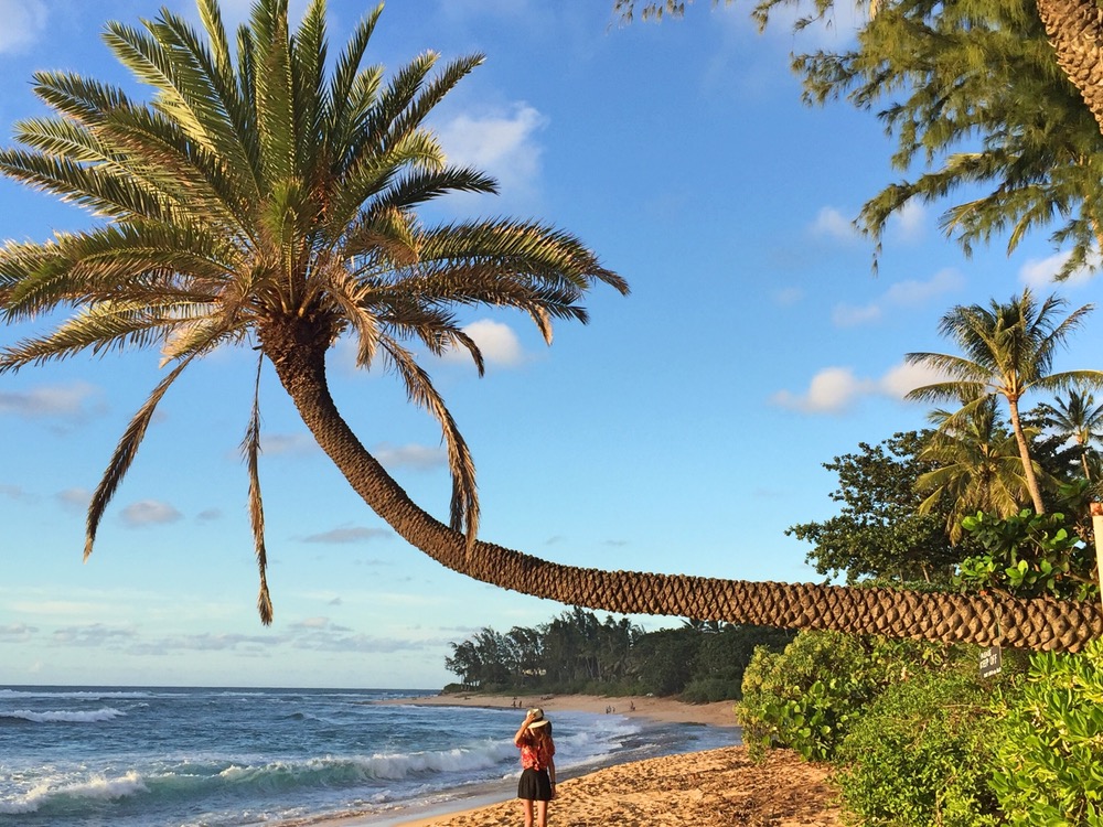 ハワイ フォトジェニックな9日間の旅